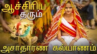 Top 5 - ஆச்சிரியம் தரும் அசாதாரண கல்யாணம் | Weird Marriages In India