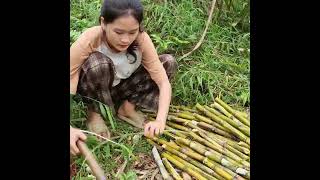 16-Year-Old Girl Harvests Sugarcane to Sell to Villagers and Cares for Two Abandoned Children