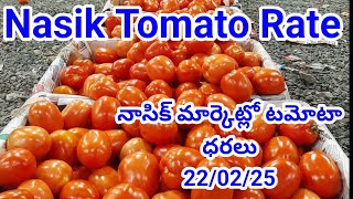 22 February 2025|| Today Tomato rate Nasik || Nasik tomato rate🍅|Maharashtra tomato Market rate🍅