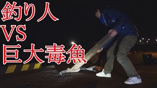 「釣り人vs巨大毒魚」 in 八丈島