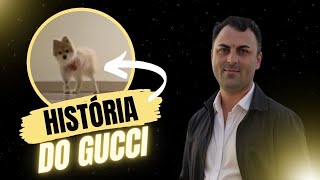 DESCUBRA a HISTÓRIA EMOCIONANTE do GUCCI: O CACHORRINHO que SUPEROU a AMPUTAÇÃO!