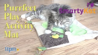 SmartyKat Purrfect Play Activity Mat from Worldwise