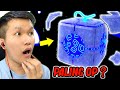 AKU PAKE BUAH PORTAL! BUAH PALING OP DI BLOX FRUITS!? - Roblox Indonesia