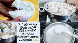 Soft இட்லிக்கு இந்த மாதிரி மாவு அரைச்சு பாருங்க 👍 | Soft Idly | Tips to choose rice, ratio and grind