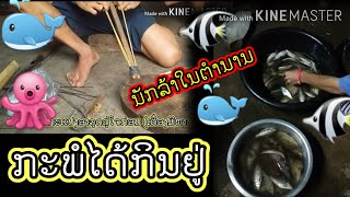 ນັກລ້າເກົ່າ-ຫາປາ🐙🐠🐟🐬🐳🐋