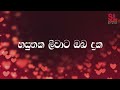 හසුනක ලීවාට Lyrics Video - ප්‍රින්ස් උදය ප්‍රියන්ත | Sinhala Songs with Lyrics