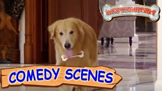 Akshay Kumar Trying To Kill The Dog- Comedy Scenes | Entertainment | Hindi Film