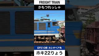 【ホキ・ジョイント音】JR東海道本線を走る貨物列車【電車が大好きな子供向け】Japanese Trains for Kids - Freight Train