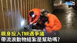 親身投入TNR遇爭議　帶流浪動物結紮是幫助嗎？｜中時新聞網