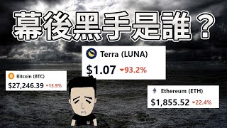 幣圈雷曼時刻！Luna 直插99% 幕後黑手是誰？！