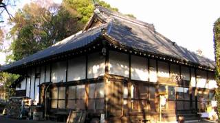 【寺院】大宮・常泉寺（埼玉）