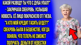 НАГЛАЯ СВЕКРОВЬ ОРАЛА КАК НЕНОРМАЛЬНАЯ,КОГДА ПОНЯЛА ЧТО НА КРЕДИТ БОЛЬШЕТ ДЕНЕГ  Истории из жизни