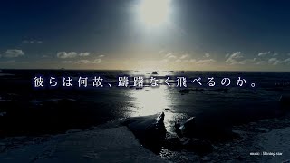 信州のファーストペンギン－信大NOW FILMS「ナノファイバー100nmストーリー」