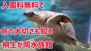 【入園無料】桐生が岡水族館の動物たちを紹介  introduces the animals of Kiryugaoka Aquarium healing 癒し アニマルセラピー Therapy