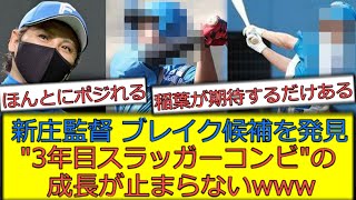 【スラッガーコンビ】新庄監督、ブレイク候補を発見するｗｗｗ