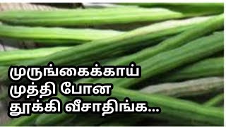 முருங்கைக்காய் முத்தி போன தூக்கி போடாதீங்க|bestcooking|drumsticks soup