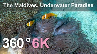 The Maldives. Underwater Paradise. Relaxing 360 video in 6K.