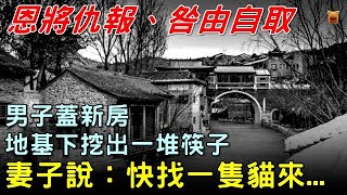 民間故事：男子蓋新房，地基下挖出一堆筷子，妻子說快找一隻貓來...