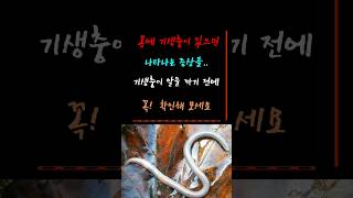 #당신의 몸에도 기생충이 살 수 있다! #정보 #예방 #면역력 #유튜브 #status #구독과좋아요