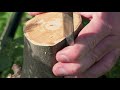 when to use wedge grafting technique on fruit trees