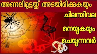 488 # ചിലന്തിവല നെയ്‌തുകൊണ്ട് അണലി മുട്ടയ്ക്ക് അടയിരിക്കുന്ന അഭക്തന്മാർ