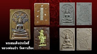 ปรกโพธิ์ หลวงปู่แป๋ว วัดดาวเรือง/เชื้อครู หลวงพ่อกวย