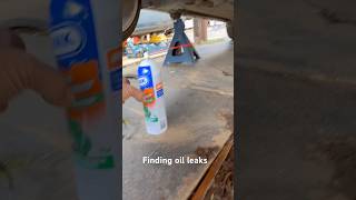 Tracking Down Oil Leaks
