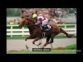 he was the horse that became special week s biggest rival grass wonder（グラスワンダー）