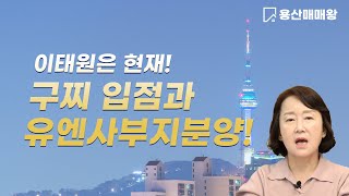 이태원 구찌입점 과 유엔사부지분양 소식