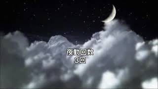 一般病院勤務　正看護師　50歳　女性　給与明細　年収