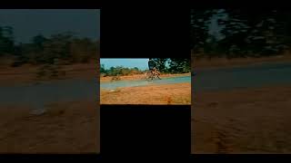 cycle stunt new video viral trending cycle stand rider Attitude #trending  #shorts #viral #status ❤️