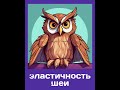 🦉Как сова поворачивает свою голову