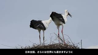 コウノトリの翼でつなぐ、自然と共存する魅力ある地域づくり