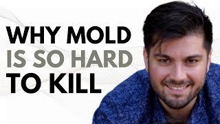 Why Mold Is So Hard To Kill