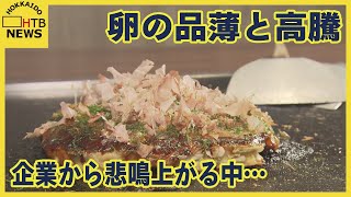 鳥インフルに物価高騰　外食産業から悲鳴あがる　なのに…　なか卯　まさかの親子丼40円値下げ