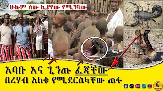 🔴እባቡ እና ጊንጡ ፈጃቸው || በረሃብ አለቁ የሚደርስላቸው ጠፋ || ቢያንስ ሼር ማድረግ አትርሱ