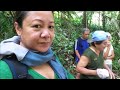 durian feast u0026 waterfall trip in kampung bidak village sarawak borneo highland 婆罗洲高原游踪 砂拉越榴莲和丛林徒步瀑布