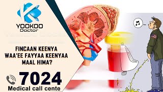 Fincaan keenya Waa'ee fayyaa keenyaa maal hima? #YookooDoctor #7024 #Urinecolor #Urineandhealth