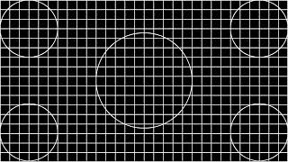Test Pattern - Grid with Circles