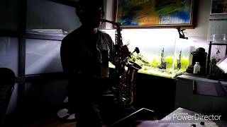 茫茫到深更  Alto Saxophone