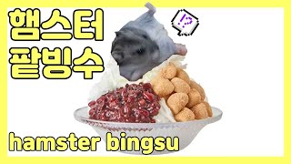 SUB)팥빙수에  햄스터 넣어서 먹방 put hamster in patbingsu. 드워프햄스터 [햄집사TV] hamster butler TV