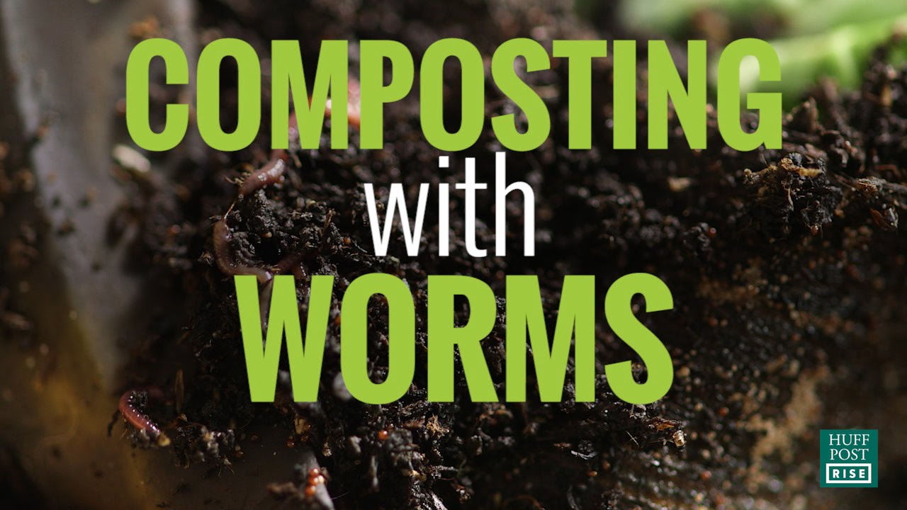 How To Start Your Very Own Worm Composting Bin At Home I HuffPost # ...