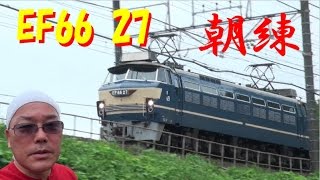 【朝練】EF66 27 新座通過！