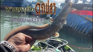 พายคายัคตกปลา ทะเลสาบสงขลา |FishChill