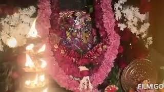 Janmashtami maha aarti