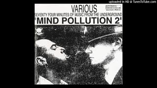 LIZGIZZAD 'Mantell' from V/A 'Mind Pollution 2' LP (1993) Noise Rock from Leeds, UK