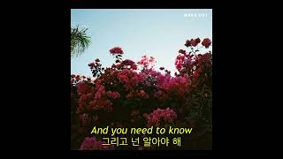 LANY - ILYSB (자막, 한글 가사, 해석, 번역, lyrics, KOR SUB)