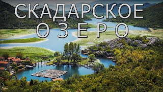 Скадарское озеро  - природная жемчужина Черногории.