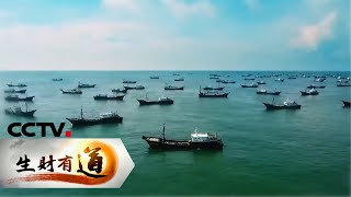 《生财有道》 广东茂名：海边旅游富渔家 20200417 | CCTV财经