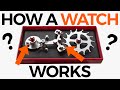 How a Watch Works 101 | Crown & Caliber